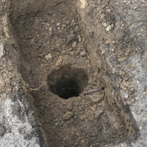 Gravning, boring samt støbning af fundament til gravsten - Søllerød Kirkegård